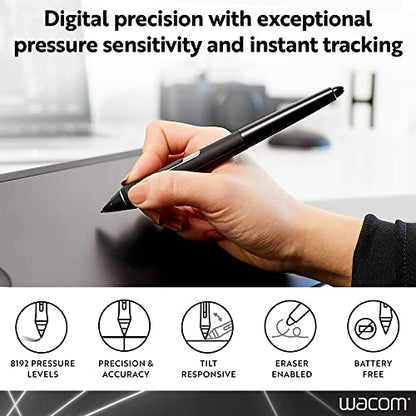 Wacom Pro Pen 2 with Case & 3 Nibs KP504E | Built for Wacom Pro Lines: MobileStudio, Cintiq & Intuos, Features 8192 levels of pressure sensitivity for digital precision