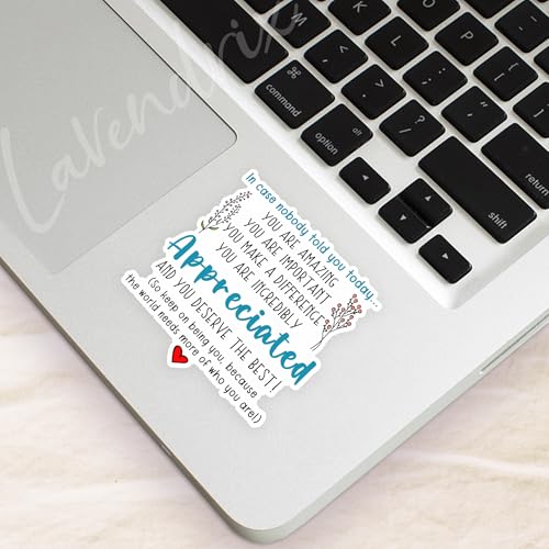 (3pcs) You are Amazing Important Incredibly Appreciated and You Deserve The Best Sticker Funny Sayings Motivational Inspirational Vinyl Decal for Tumbler Laptop Water Bottles Books Phone -Size 3x3