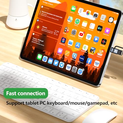 USB-C to USB Adapter 2-piece Set, USB-C to USB 3.0 OTG Converter, Supports Fast Charging and Data Transfer - color: gunmetal-CtoA