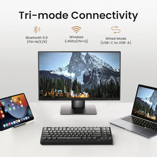 Kisnt KN85 Wireless Mechanical Keyboard, 75% Layout with Side Printed PBT Keycaps, Bluetooth/2.4GHz/USB-C, Custom RGB Backlit, Hot-Swappable Linear Switch,Creamy Sound for Gaming/Typing(Gradient Gray) - color: Gradient Gray