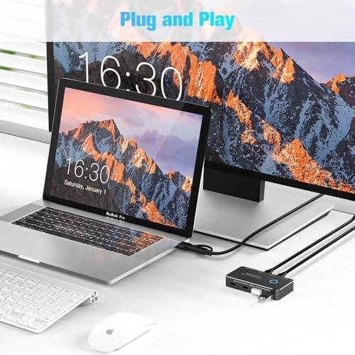 RSHTECH USB 3.2/USB C Switch 10Gbps 2 Computers Share 4 Devices, RSH-A201C | USB Switcher Selector with USB 3.2 Ports(2 USB-A+2 USB-C), 2 Cables and Controller for PC Laptop, No Video Output or Charging
