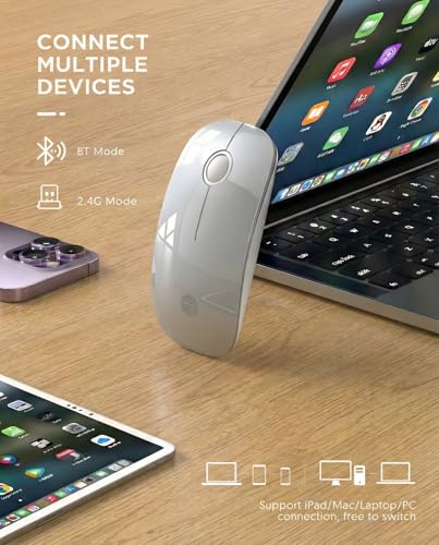 RAPIQUE Bluetooth Wireless Mouse, BT5.1/2.4G Dual Mode, Silver | Slim Profile, Two Ways to Connect, Quiet Click, Low Power, 1600 DPI, Portable for MacBook, Laptop, iPad and Chromebook - color: Silver