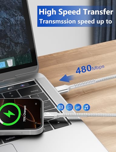 USB A to USB C Cable Fast Charging [2 Pack, 6FT] USB to USB C Charger Cable | Upgraded Extra Durable Braided USBC Cable Compatible with iPhone 17 16 15 Pro Max, Samsung Galaxy S26 and More -Silver - color: Silver, size: 6FT, style: USB A to USB C
