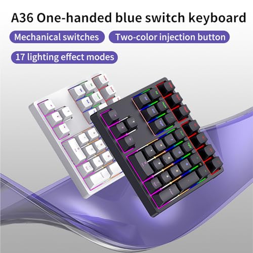 Number Pad, Mechanical 34 Keys USB C Wired Numeric Keypad with RGB Backlit, Blue Switches, Plug and Play for Laptop and Desktop (Black)