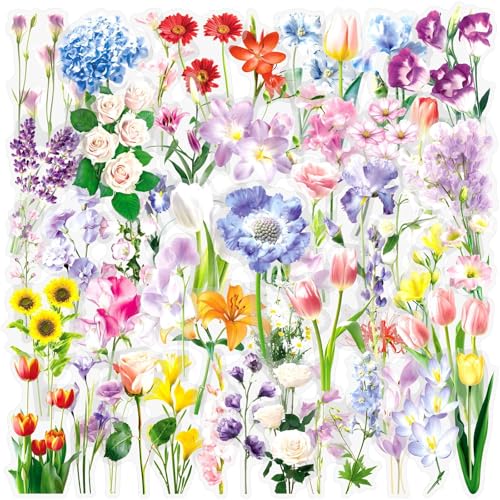 50pcs Fresh and Gentle Spring Flowers Stickers，Transparent Stickers for Scrapbook Supplies Cards Making Books Postcards Water Bottles Laptops Computer DIY, etc(colourful-B16) - color: Colourful-b16