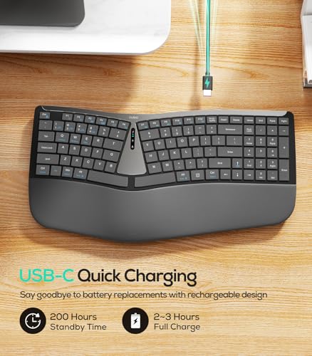 Nulea RT07B Wireless Ergonomic Keyboard - Split Keyboard, Wrist Rest, Natural Typing, Bluetooth and USB Connectivity, USB-C Rechargeable,Compatible with Windows Mac (Silver White) - color: H-Silver Gray