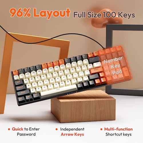 RK ROYAL KLUDGE RK100 Wireless Mechanical Keyboard RGB Backlit Bluetooth5.1/2.4G/Wired 96% Full Size 100-Key Hot Swappable Gaming Keyboard Brown Switch Carbon - color: Carbon, size: Hot Swappable Brown Switch