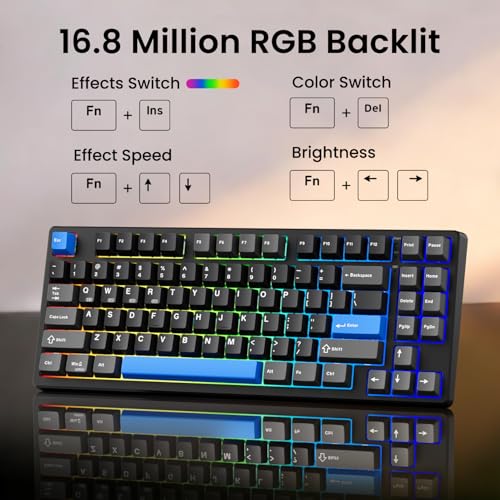 Kisnt KN85 Wireless Mechanical Keyboard, 75% Layout, Bluetooth/2.4GHz/USB-C, Custom RGB Backlit, Hot-Swappable Linear Switch, Creamy Sound for Gaming/Typing (Textured Black) - color: Textured Black
