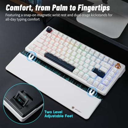 Wireless Mechanical Keyboard with Wrist Rest, Hot Swappable Custom Keyboard with Knob, RGB Backlit, Pre-lubed Clicky Switches, 2.4GHz/USB-C/BT5.0 Mechanical Gaming Keyboards for Win/Mac (White) - color: White-82keys, size: Clicky