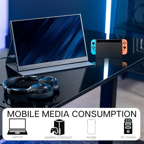 VIVO 15.6 inch Portable Monitor with Laptop Screen Extender Holding Bracket, Fits Laptops up to 18.5 inches, Black, STAND-PM01M