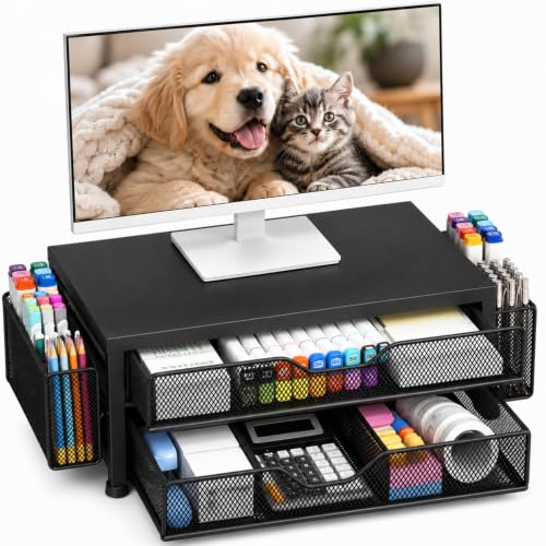 OPNICE Desk Organizer and Accessories, 2-Tier Computer Monitor Stand Riser with Drawer and 2 Pen Holders, Laptop Stand, Office Desk Accessories for Office Supplies, Black-2D - color: Black Double Drawer & Pen Holders, size: Single
