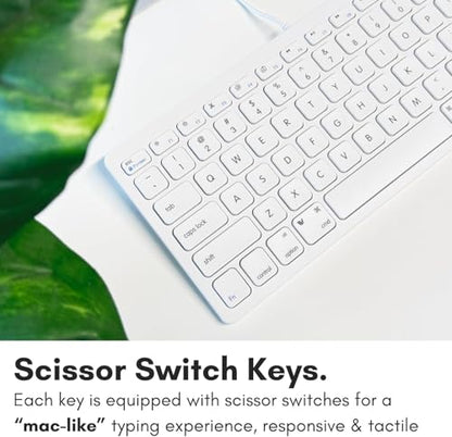 Macally USB Wired Keyboard for Mac and Windows PC - Plug and Play Apple Keyboard with 78 Scissor Switch Keys and 13 Shortcut Keys - Compact & Small that Saves Spaces and Looks Great - White - color: White