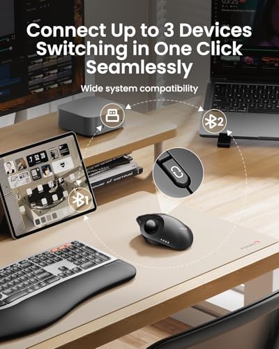 ProtoArc EM02 Wireless Trackball Mouse, Ergonomic Thumb Ball Control, Gray | 0/15° Adjustable Angle for Different Wrist Positions, Connect 3 Devices Via Bluetooth/2.4G USB-A, Rechargeable Battery - color: Gray