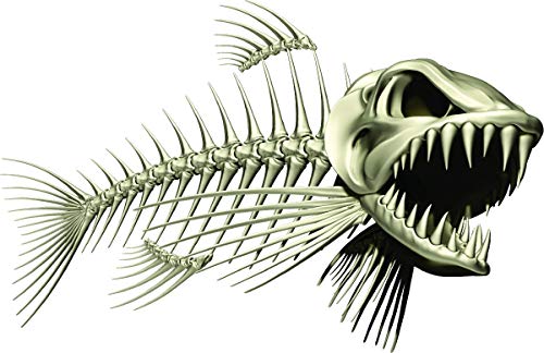 Skeleton Beautiful Fish Decal | Fishing Decal for Boat, Car, Vehicle, Truck Etc. | Waterproof Vinyl Sticker | Many Sizes & Styles Available | 12" to 40" by Digital Fish Art (Medium, Position 2R) - color: Position 2r, size: Medium