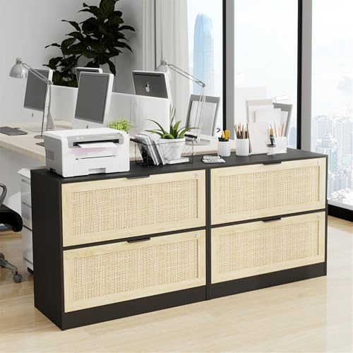 HOPUBUY 2 Drawer File Cabinet with Lock, Printer Stand Lateral | Home Office and School, Wood Rattan Filing Cabinet for Hanging Files/Letter/Legal/A4/F4 Size, Black, 2Drawer, Set1 - color: Black, size: Set1