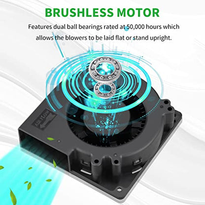 120mm × 32mm Dual Ball 12V Blower Fan Brushless Squirrel Cage Centrifugal Fan for DIY Computer Amplifier Electronics Exhaust Inflatable Projects - style: 12v 2pin