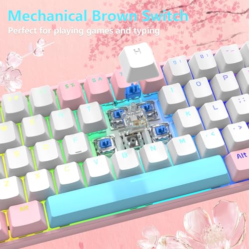 RK-T60 Wired 60% TKL Mechanical Gaming Keyboard Led Rainbow Backlight Ultra-Compact NKRO Linear Red Switch ABS Keycap RGB Honeycomb Mice Coiled Aviator Cable for Windows Laptop PS4/PC/WIN Gamer - color: Pink/Blue Switch