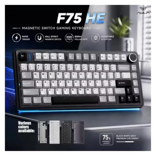 F75HE Mechanical Keyboard Magnetic Switch 75% 80 Keycaps 8K Polling Rate Tri-Mode RGB Hot Swap F75 Wireless Gaming Keyboard(Gradient Gray) - color: Gradient Gray