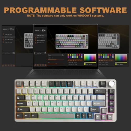 YUNZII B75 PRO Wireless Mechanical Gaming Keyboard | Custom 75% Layout with Knob,Gasket Mount,Hot Swap,Creamy Pre-lubed Switch,BT/USB-C/2.4G(Milk Switch,Grey) - color: Grey, size: Milk Switch