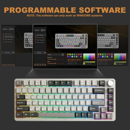 YUNZII B75 PRO Wireless Mechanical Gaming Keyboard | Custom 75% Layout with Knob,Gasket Mount,Hot Swap,Creamy Pre-lubed Switch,BT/USB-C/2.4G(Milk Switch,Grey) - color: Grey, size: Milk Switch