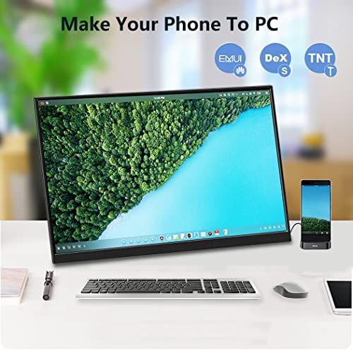4k Portable Monitor, 14 Inch Portable Monitor USB C, 10-Bit Adobe 95% HDR Game Display with USB C/HDMI/Mini DP Compatible with Laptop/Game Console/PC/Surface - size: 14"