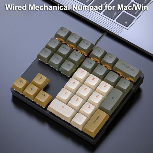Mechanical Numpad Rainbow Backlit Clicky Blue Switches Wired USB Number Pad 33-Key NKRO Numeric Keypad with XDA PBT Keycaps External Keyboard Num Pad for Laptop, Mac - Brown Grey - color: Brown Grey - Blue Switch