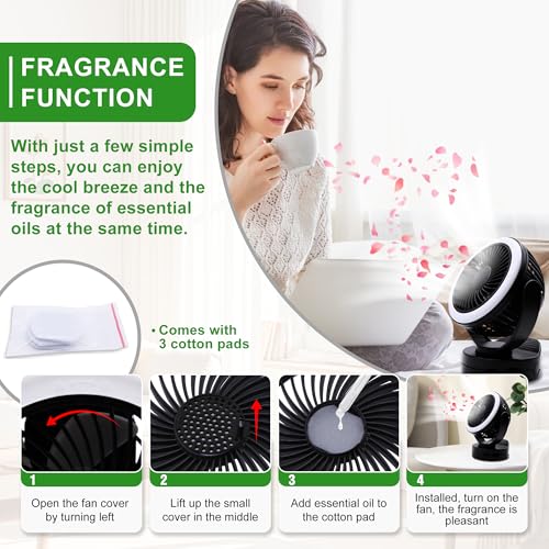 Rechargeable RV Cooling Fan Light, 4-Speed Portable Desk Fan, Dia: 5.5inch, Rotatable Clip-On & Wall-Mount Fan for Home Office RV Travel, 5000mAh Battery - color: Black