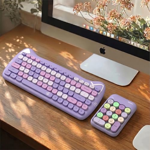 Lomiluskr Cute Wireless Number Keypad with 2.4G USB Receiver, 18 Colorful Round Keys Numpad, Portable Financial Accounting Numeric Keyboard, Suitable for PC, Laptop (Purple) - color: Purple
