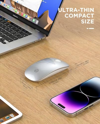 RAPIQUE Bluetooth Wireless Mouse, BT5.1/2.4G Dual Mode, Silver | Slim Profile, Two Ways to Connect, Quiet Click, Low Power, 1600 DPI, Portable for MacBook, Laptop, iPad and Chromebook - color: Silver