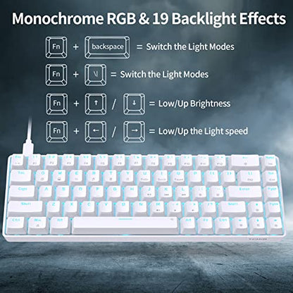 DIERYA T68SE 60% Gaming Mechanical Keyboard,Ultra Compact Mini 68 Key with Blue Switches Wired Keyboard,Anti-Ghosting Keys, for Windows Laptops and PC Gamers,White - color: White/Blue Switch, size: Wired