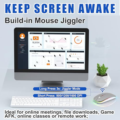 Gizdot-R1 LED Mouse for MacBook Air/iPad/Laptop, Silver | MacBook Air/iPad/Laptop Compatible, Silent Mouse with USB-C, Built-in Mouse Jiggler, 4-Mode - color: Silver