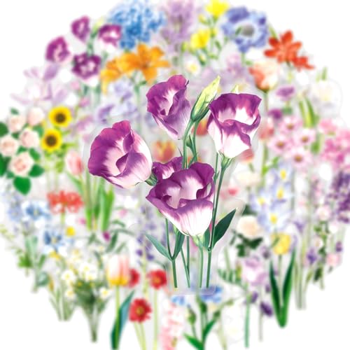 50pcs Fresh and Gentle Spring Flowers Stickers，Transparent Stickers for Scrapbook Supplies Cards Making Books Postcards Water Bottles Laptops Computer DIY, etc(colourful-B16) - color: Colourful-b16