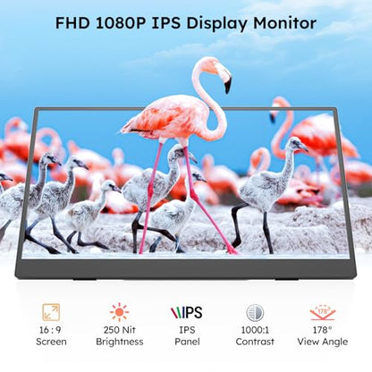 Dopesplay Portable Monitor, 15.6" FHD 1080P IPS Travel Monitor for Laptop, Foldable Magnetic Stand & Carry Case Included, USB-C Screen Extender for Laptop Mac PC Phone Xbox PS4/5 Switch