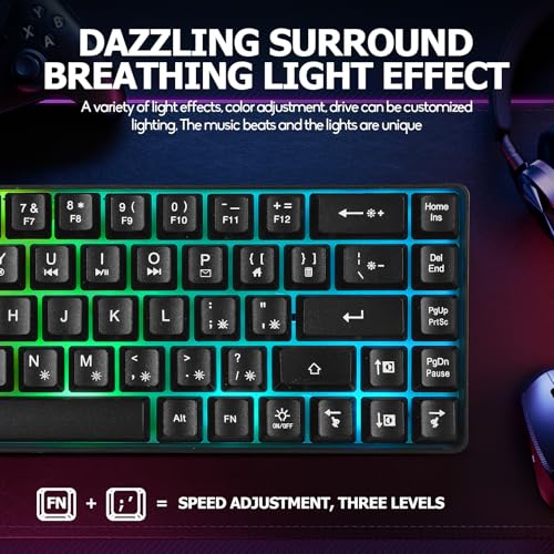 Guiheng Wired Portable 60% Mechanical Gaming Keyboard,RGB LED Backlit Compact 68 Keys Mini Wired Office Keyboard with Red Switch for Windows Laptop PC Mac - Black - color: black