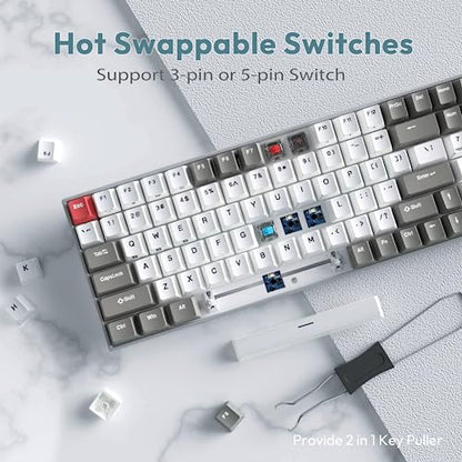 RK ROYAL KLUDGE RK100 Wireless Mechanical Keyboard RGB Backlit Bluetooth5.1/2.4G/Wired 96% Full Size 100-Key Hot Swappable Gaming Keyboard Red Switch Classic - color: Classic, size: Hot Swappable Red Switch