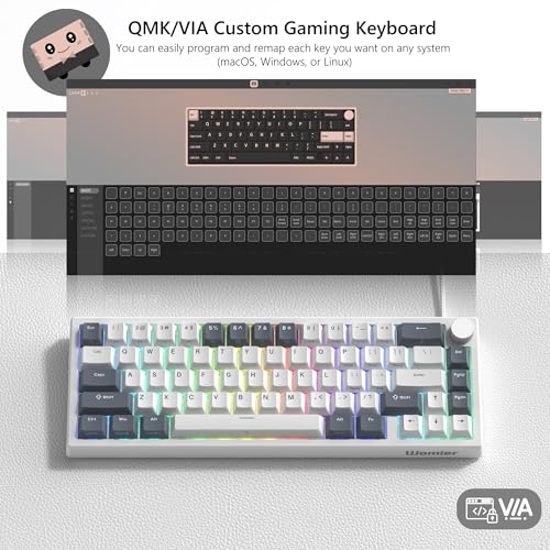 Womier 60% Gaming Keyboard Wired, Creamy Mechanical Keyboard QMK/VIA | Hot Swappable Gasket Mount RGB Key board & Translucent Keycaps POM Linear Switch for Windows/MAC (VK66 PRO White) - color: V-White Grey