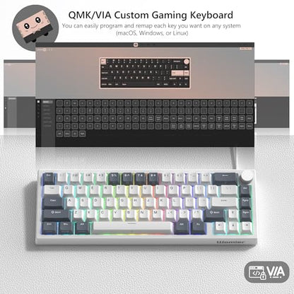 Womier 60% Gaming Keyboard Wired, Creamy Mechanical Keyboard QMK/VIA | Hot Swappable Gasket Mount RGB Key board & Translucent Keycaps POM Linear Switch for Windows/MAC (VK66 PRO White) - color: V-White Grey
