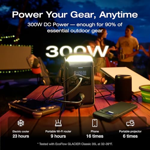 EF ECOFLOW Power Bank Station TRAIL Plus 300 DC, 288Wh 80000mAh, 300W DC | LFP Battery, 140W USB C Output, Solar Generator for Outdoor Camping, Travel, and Emergency (No AC Outlet Included) - style: TRAIL Plus 300