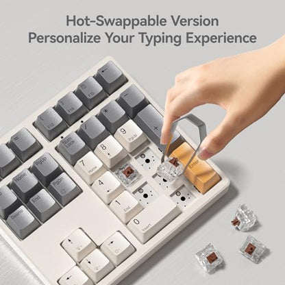 Kisnt KN34 Mechanical Numpad, Full-Function for Heavy Excel Financial | Wired 34 Keys Hot Swappable, PBT Keycaps with White Backlit, Laptop MacBook PC Desktop Compatible (Brown Switch)