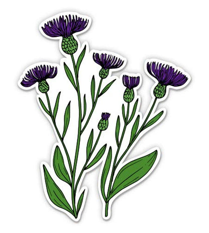 Thistle - 5" Vinyl Sticker - for Car Laptop I-Pad - Waterproof Decal - size: 5"