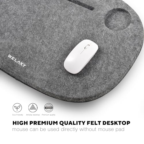 Welaxy Laptop Lap Desk Portable Large workspace LapDesk for Bed Home Office fits up to 17-inch MacBook Chromebook Tablet Lightweight Tray Table with Ergonomic 3D Shaped Pillow (Charcoal) - color: Charcoal