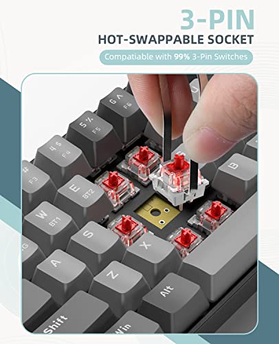 ZIYOU LANG RK68 60% Wireless Mechanical Keyboard,Bluetooth 5.0/2.4Ghz Dual Mode Receiver,Hot-Swappable Mini 68-Key,Retro Color Keycaps,Linear Red Switch,Ultra Power Saving for PC PS4 Xbox iPhone ipad - color: Light gray/Red Switch