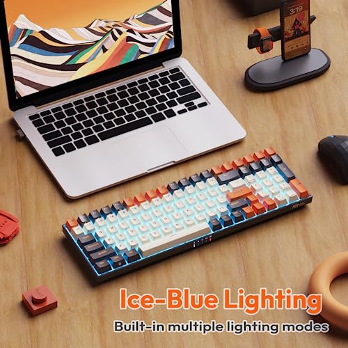 RK ROYAL KLUDGE RK100 Wireless Mechanical Keyboard RGB Backlit Bluetooth5.1/2.4G/Wired 96% Full Size 100-Key Hot Swappable Gaming Keyboard Brown Switch Carbon - color: Carbon, size: Hot Swappable Brown Switch