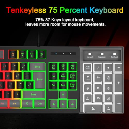 BlueFinger RGB 87 Keys Gaming Keyboard and Backlit Mouse Combo, USB Wired Rainbow Keyboard, Gaming Keyboard Set for Laptop PC Computer Game and Work(Gray & Black) - color: Gray & Black