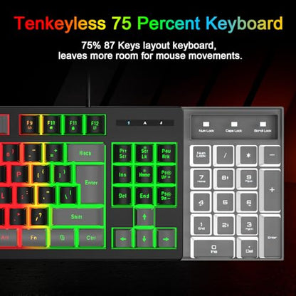 BlueFinger RGB 87 Keys Gaming Keyboard and Backlit Mouse Combo, USB Wired Rainbow Keyboard, Gaming Keyboard Set for Laptop PC Computer Game and Work(Gray & Black) - color: Gray & Black