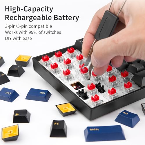 Newmen GM1000 Wireless Mechanical Gaming Keyboard,Bluetooth 2.4G/Wired | Hot Swappable,Custom,RGB Backlit Mechanical Keyboards,Anti-Ghosting,Num Pad ,Mac/Win,Blueblack Keycaps,Box-Red Switch - color: BlueBlack Keyboard-BOX red Switch