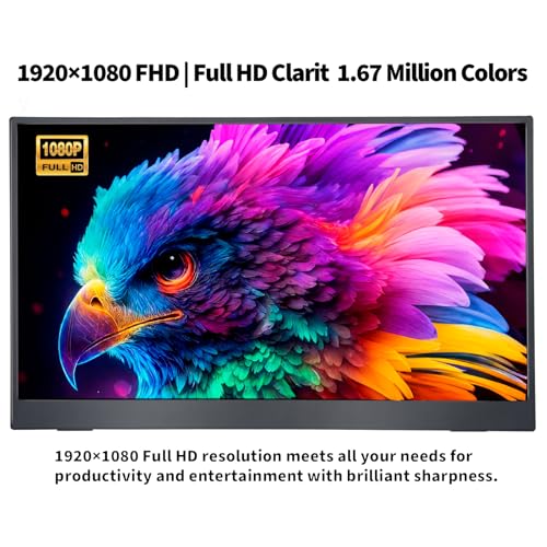15.6 Inch Portable Monitor, 1080P FHD 60Hz IPS Screen, 72% sRGB HDMI USB-C External Monitor for Laptop PC MacBook Phone Xbox PS5/4, Travel Second Display with Kickstand - size: 15.6