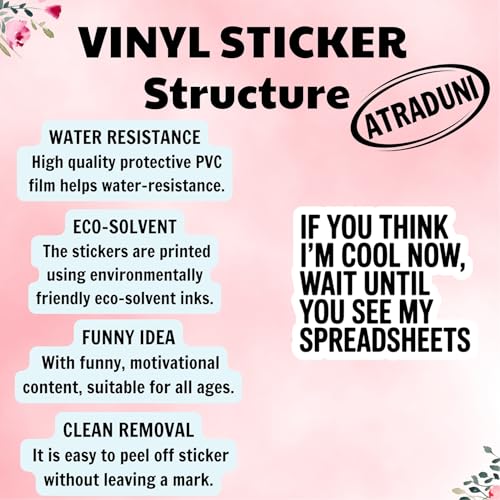 (3Pcs) Funny Spreadsheet Stickers If You Think I'm Cool Now Wait Until You See My Spreadsheets Waterproof Vinyl Decals for Laptop Water Bottle Tumbler Kindle Accountant Gifts - color: If You Think I’m Cool Now