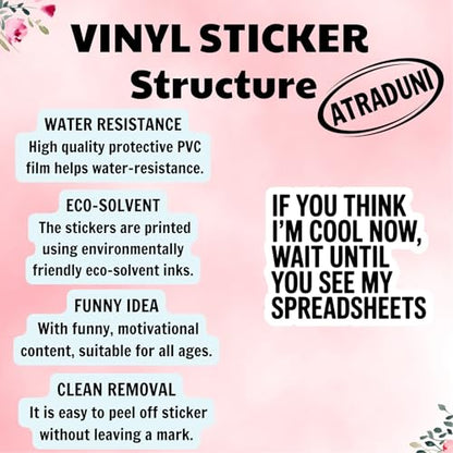 (3Pcs) Funny Spreadsheet Stickers If You Think I'm Cool Now Wait Until You See My Spreadsheets Waterproof Vinyl Decals for Laptop Water Bottle Tumbler Kindle Accountant Gifts - color: If You Think I’m Cool Now