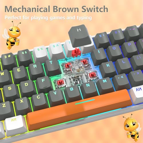 RK-T60 Wired 60% TKL Mechanical Gaming Keyboard Led Rainbow Backlight Ultra-Compact NKRO Linear Red Switch ABS Keycap RGB Honeycomb Mice Coiled Aviator Cable for Windows Laptop PS4/PC/WIN Gamer - color: Light Gray/Red Switch